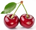 C:\Documents and Settings\Admin\Рабочий стол\depositphotos_6870353-stock-photo-two-perfect-sweet-cherries-with.jpg